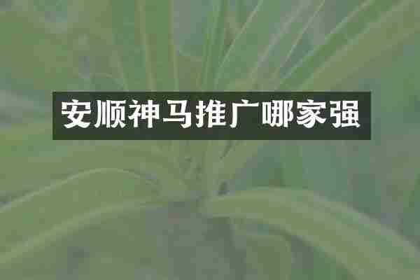 安顺神马推广哪家强