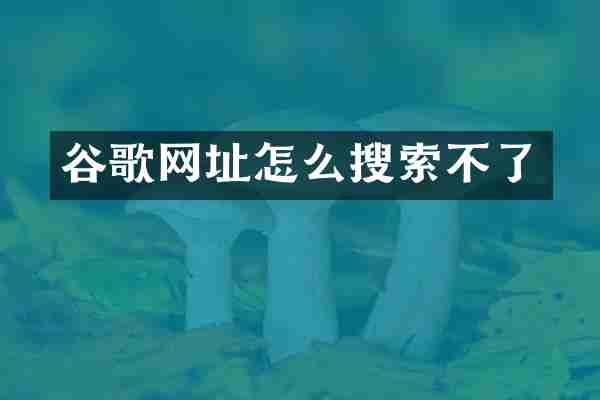 谷歌网址怎么搜索不了