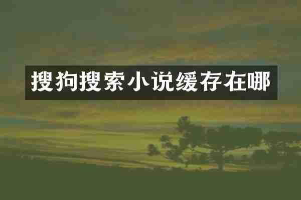 搜狗搜索小说缓存在哪