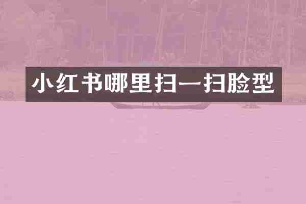 小红书哪里扫一扫脸型