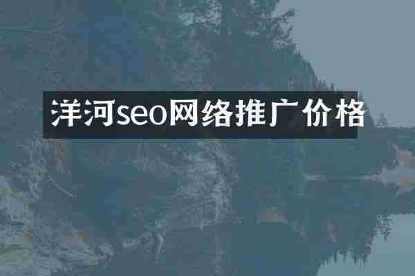 洋河seo网络推广价格