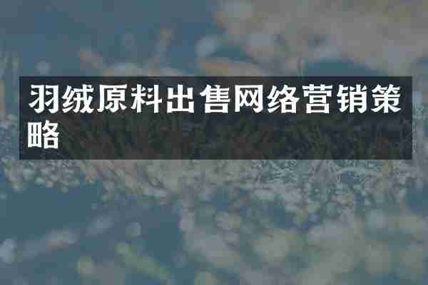 羽绒原料出售网络营销策略