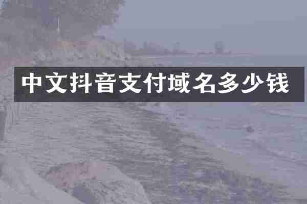 中文抖音支付域名多少钱