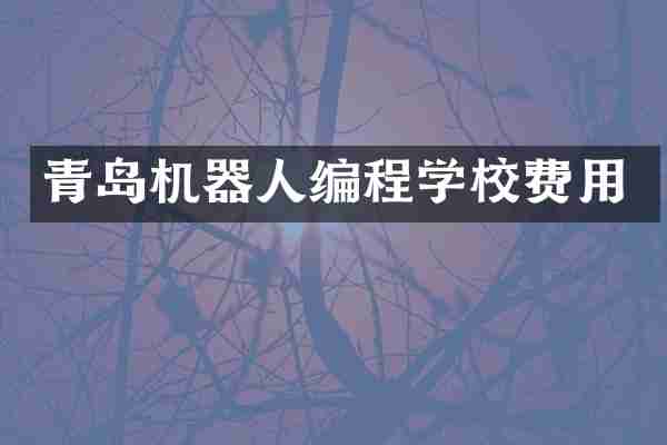 青岛机器人编程学校费用