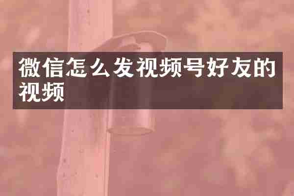 微信怎么发视频号好友的视频