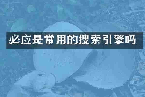 必应是常用的搜索引擎吗