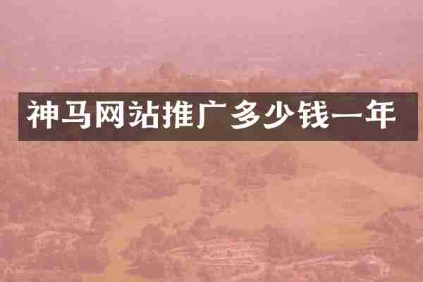 神马网站推广多少钱一年