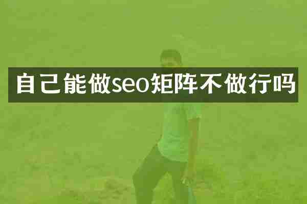 自己能做seo矩阵不做行吗