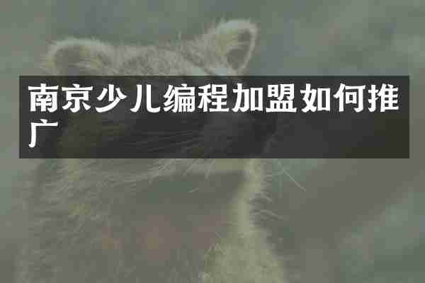 南京少儿编程加盟如何推广