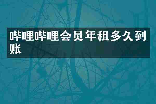 哔哩哔哩会员年租多久到账