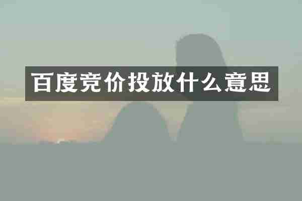 百度竞价投放什么意思