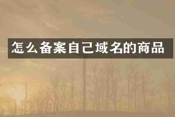怎么备案自己域名的商品