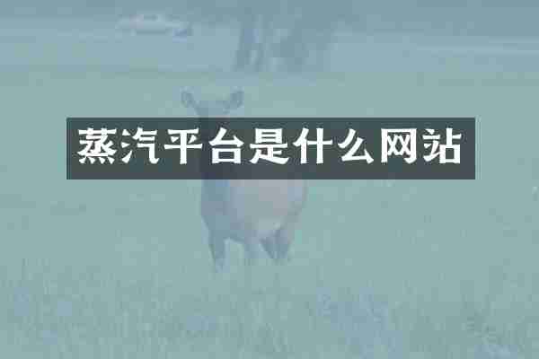 蒸汽平台是什么网站