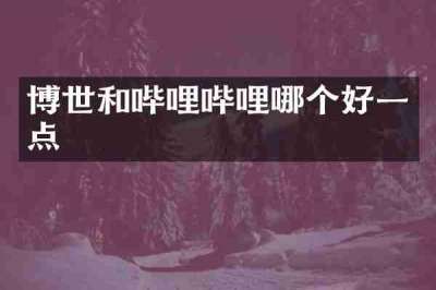 博世和哔哩哔哩哪个好一点