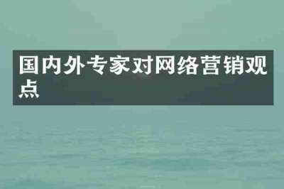 国内外专家对网络营销观点