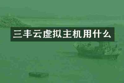 三丰云虚拟主机用什么