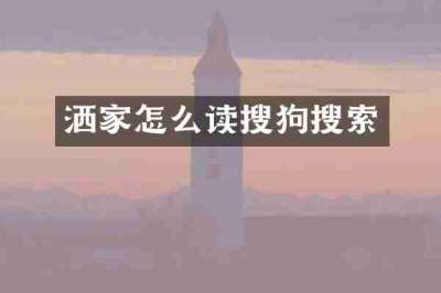 洒家怎么读搜狗搜索