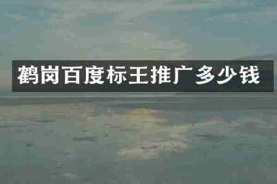 鹤岗百度标王推广多少钱
