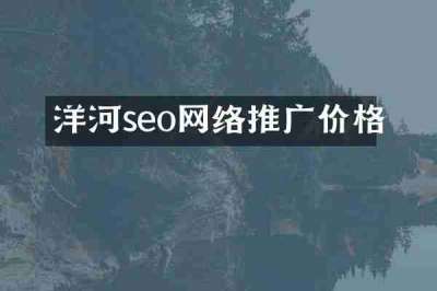 洋河seo网络推广价格
