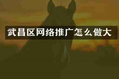 武昌区网络推广怎么做大