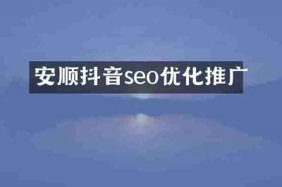 安顺抖音seo优化推广