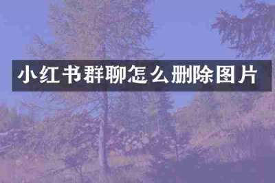 小红书群聊怎么删除图片