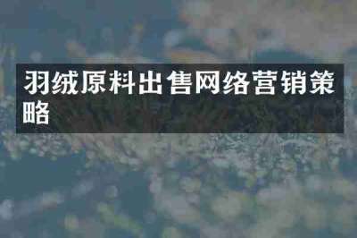 羽绒原料出售网络营销策略
