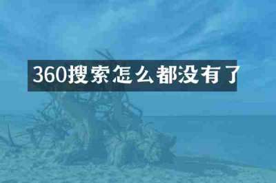 360搜索怎么都没有了