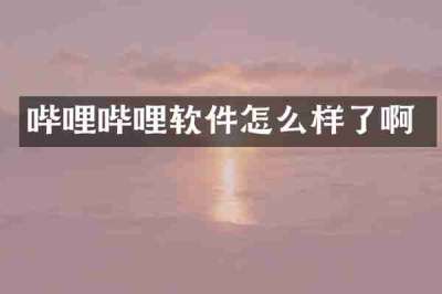 哔哩哔哩软件怎么样了啊