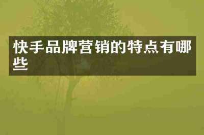快手品牌营销的特点有哪些