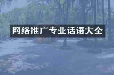 网络推广专业话语大全