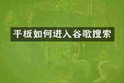 平板如何进入谷歌搜索