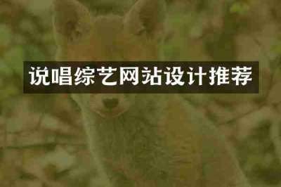 说唱综艺网站设计推荐