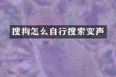 搜狗怎么自行搜索变声