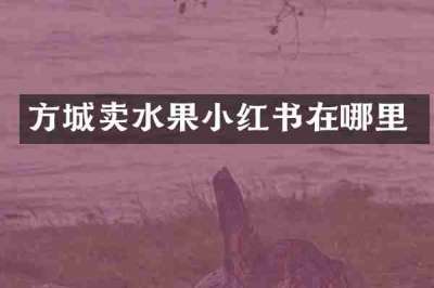 方城卖水果小红书在哪里