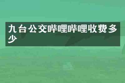 九台公交哔哩哔哩收费多少