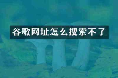 谷歌网址怎么搜索不了
