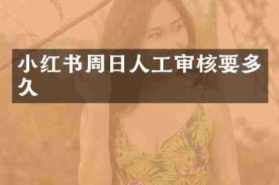 小红书周日人工审核要多久