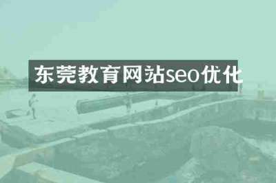东莞教育网站seo优化