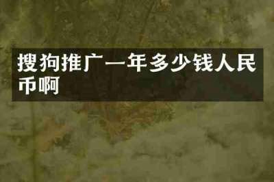 搜狗推广一年多少钱人民币啊