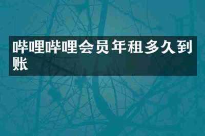 哔哩哔哩会员年租多久到账