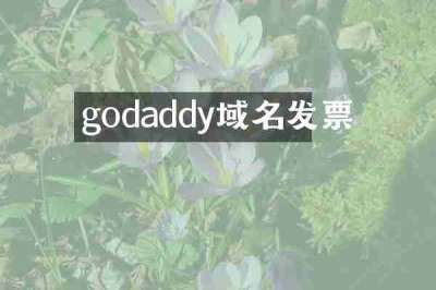 godaddy域名发票