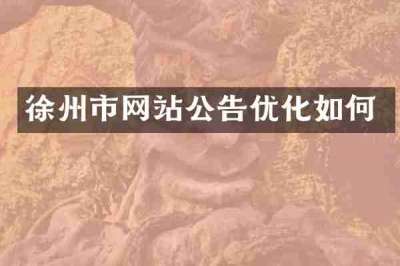 徐州市网站公告优化如何