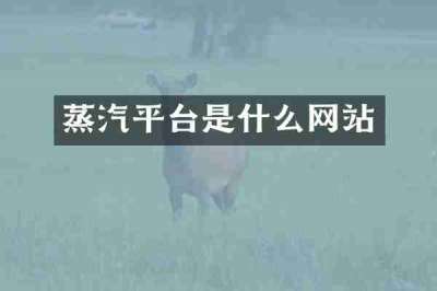 蒸汽平台是什么网站