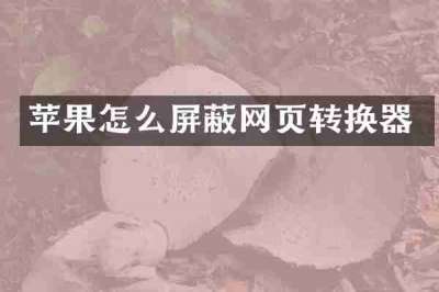 苹果怎么屏蔽网页转换器
