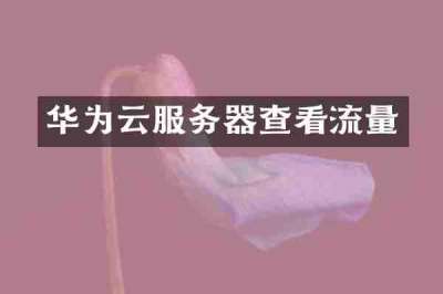 华为云服务器查看流量