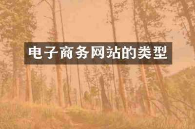 电子商务网站的类型