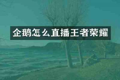 企鹅怎么直播王者荣耀