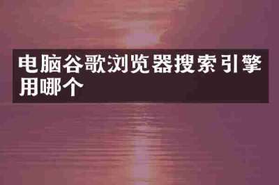 电脑谷歌浏览器搜索引擎用哪个