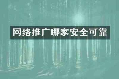 网络推广哪家安全可靠